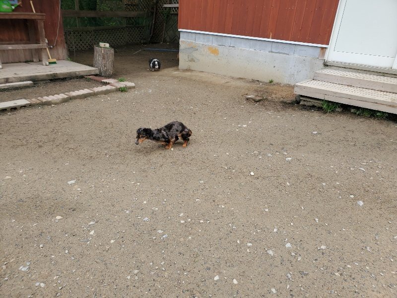 f：id：roukenhome-ann：20200507091638j：plain