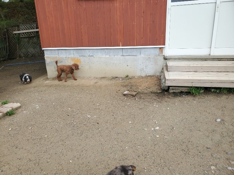 f：id：roukenhome-ann：20200507091649j：plain
