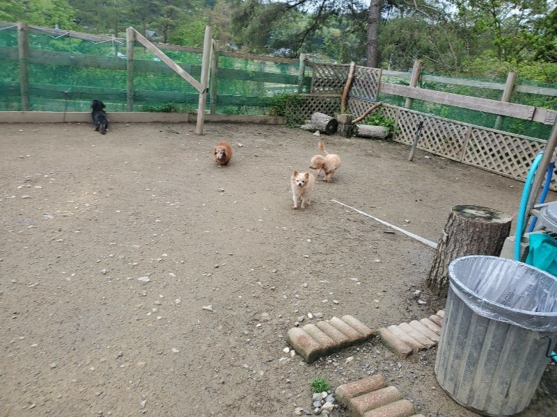 f：id：roukenhome-ann：20200507091804j：plain