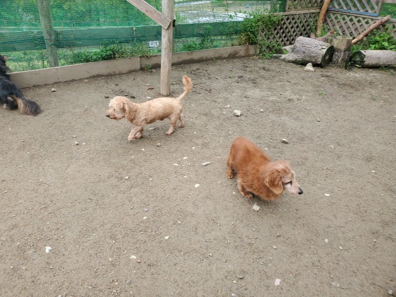 f：id：roukenhome-ann：20200507091848j：plain