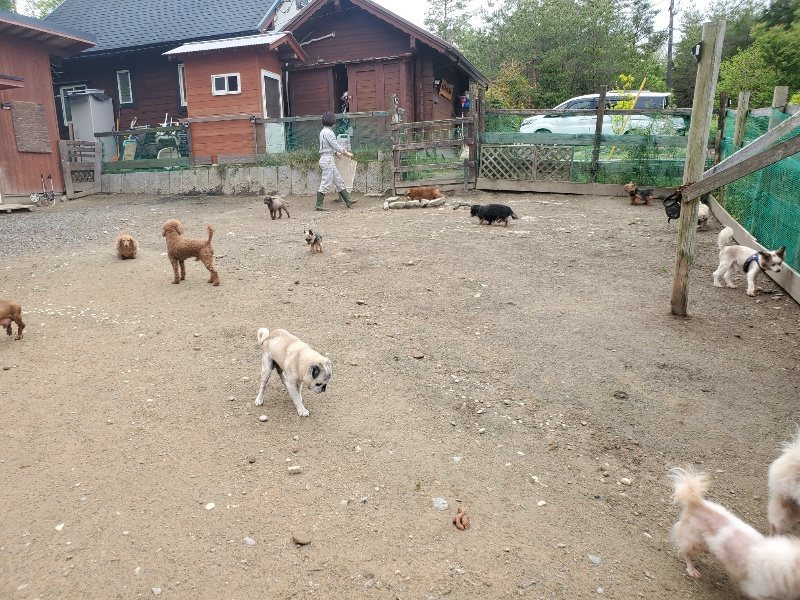 f：id：roukenhome-ann：20200507092006j：plain