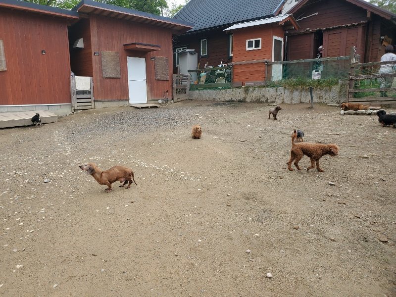 f：id：roukenhome-ann：20200507092050j：plain
