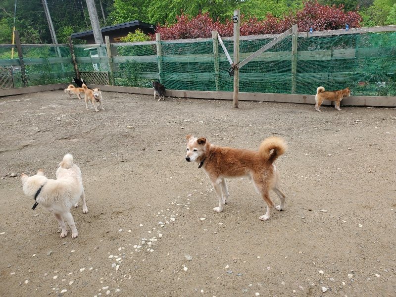 f：id：roukenhome-ann：20200507092158j：plain