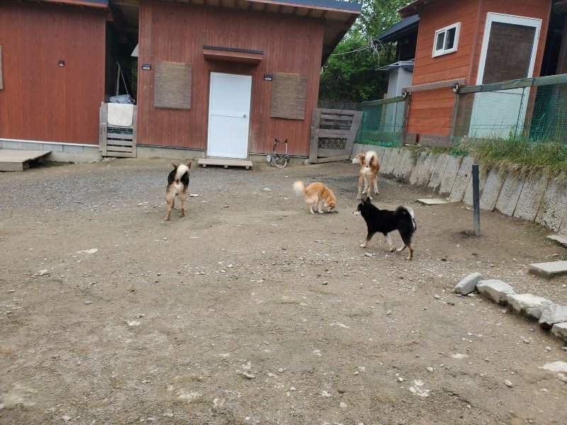 f：id：roukenhome-ann：20200507092430j：plain