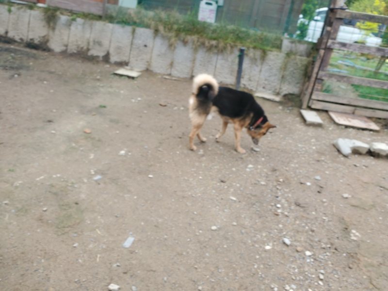 f：id：roukenhome-ann：20200507092657j：plain