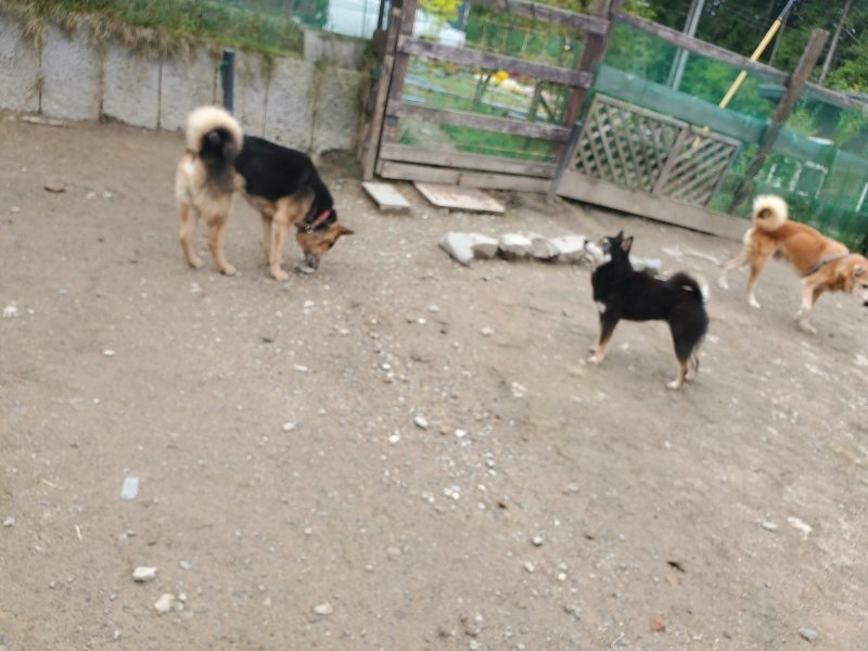 f：id：roukenhome-ann：20200507092711j：plain