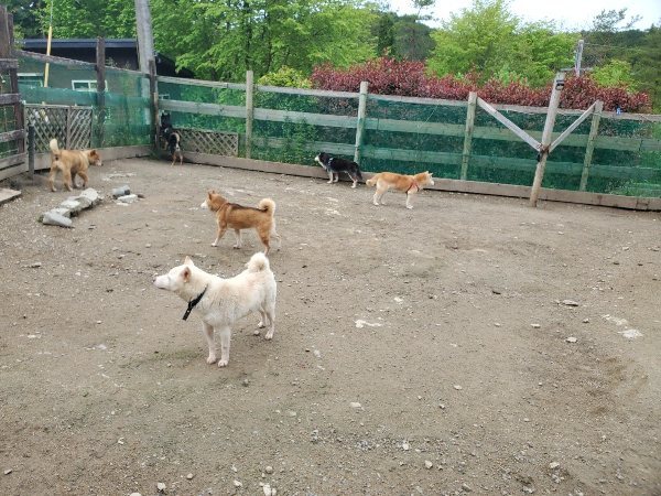 f：id：roukenhome-ann：20200507093150j：plain