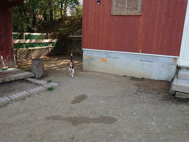 f:id:roukenhome-ann:20200508125545j:plain f:id:roukenhome-ann:20200508125545j:plain