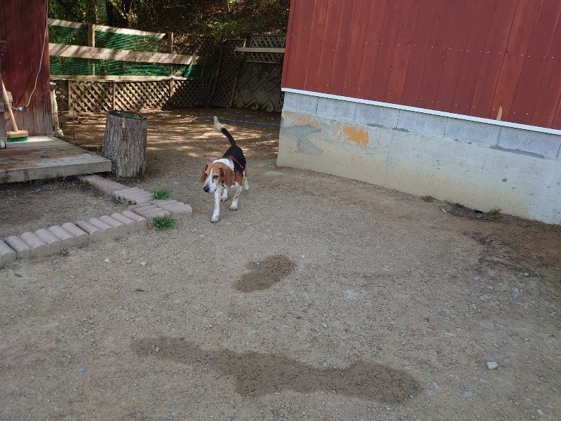 f:id:roukenhome-ann:20200508125549j:plain f:id:roukenhome-ann:20200508125549j:plain