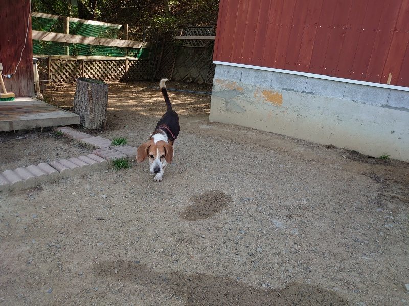 f:id:roukenhome-ann:20200508125556j:plain f:id:roukenhome-ann:20200508125556j:plain