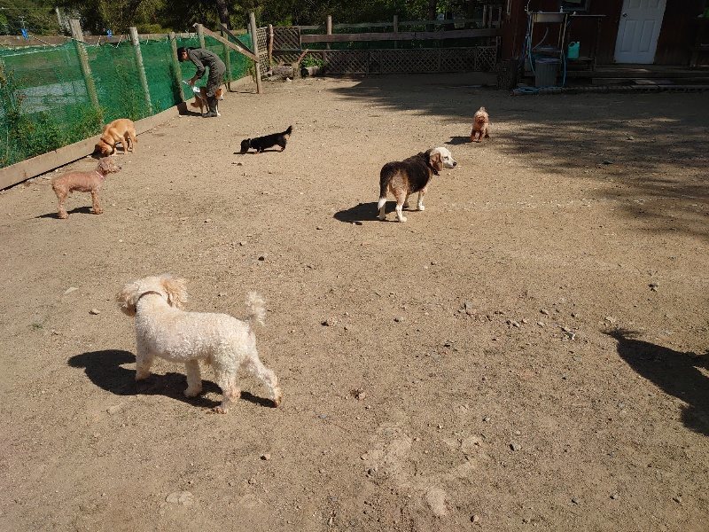 f:id:roukenhome-ann:20200508130309j:plain f:id:roukenhome-ann:20200508130309j:plain