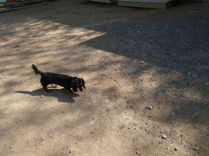 f:id:roukenhome-ann:20200508130526j:plain f:id:roukenhome-ann:20200508130526j:plain