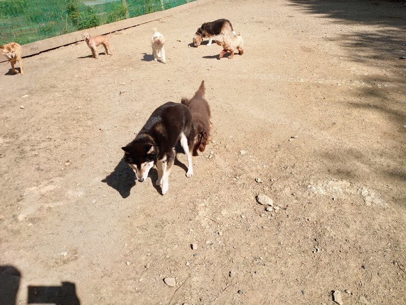 f:id:roukenhome-ann:20200508130555j:plain f:id:roukenhome-ann:20200508130555j:plain