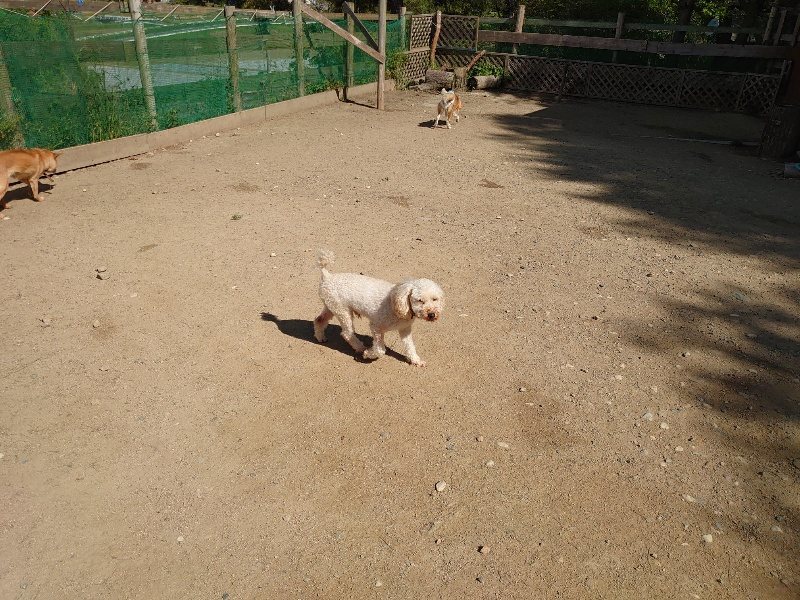 f:id:roukenhome-ann:20200508130922j:plain f:id:roukenhome-ann:20200508130922j:plain