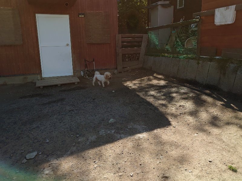 f:id:roukenhome-ann:20200508131024j:plain f:id:roukenhome-ann:20200508131024j:plain