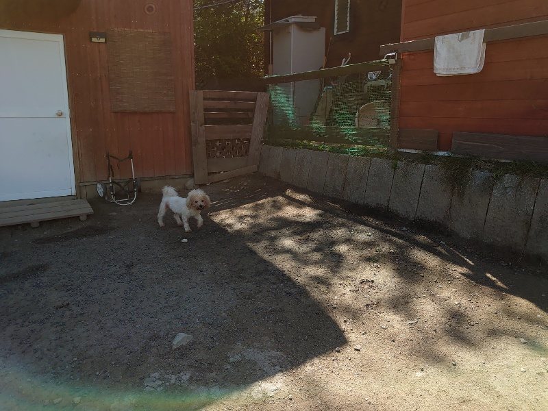 f:id:roukenhome-ann:20200508131029j:plain f:id:roukenhome-ann:20200508131029j:plain