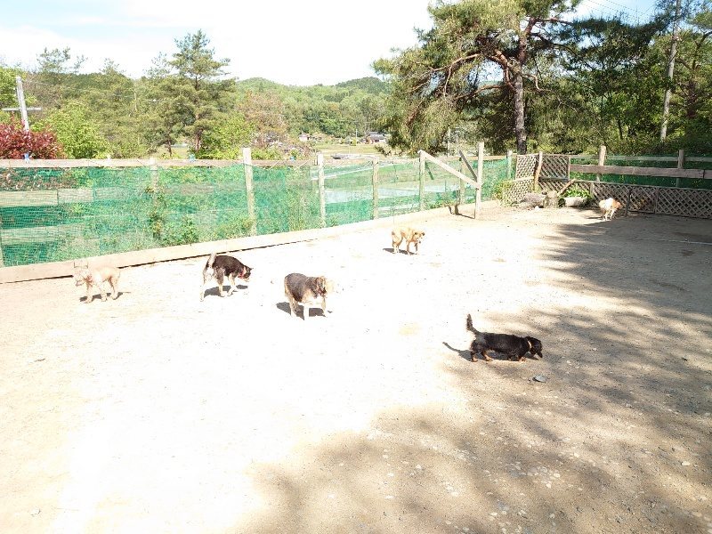 f:id:roukenhome-ann:20200508131034j:plain f:id:roukenhome-ann:20200508131034j:plain