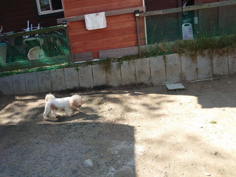 f:id:roukenhome-ann:20200508131039j:plain f:id:roukenhome-ann:20200508131039j:plain