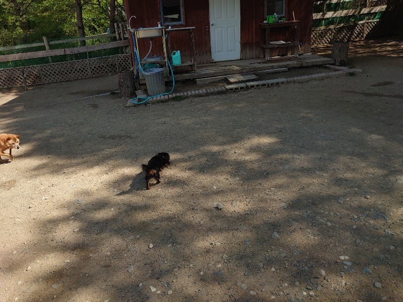 f:id:roukenhome-ann:20200508131109j:plain f:id:roukenhome-ann:20200508131109j:plain