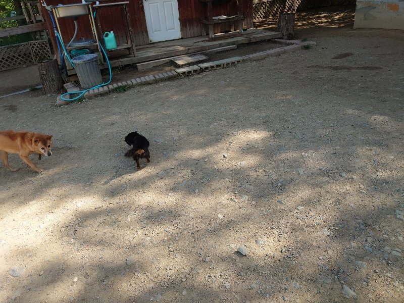 f:id:roukenhome-ann:20200508131114j:plain f:id:roukenhome-ann:20200508131114j:plain