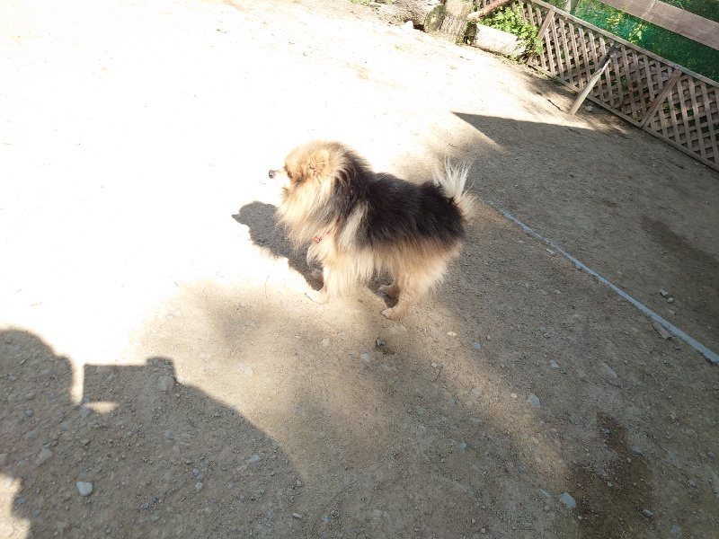 f:id:roukenhome-ann:20200508131258j:plain f:id:roukenhome-ann:20200508131258j:plain