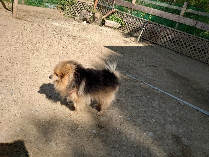 f:id:roukenhome-ann:20200508131311j:plain f:id:roukenhome-ann:20200508131311j:plain