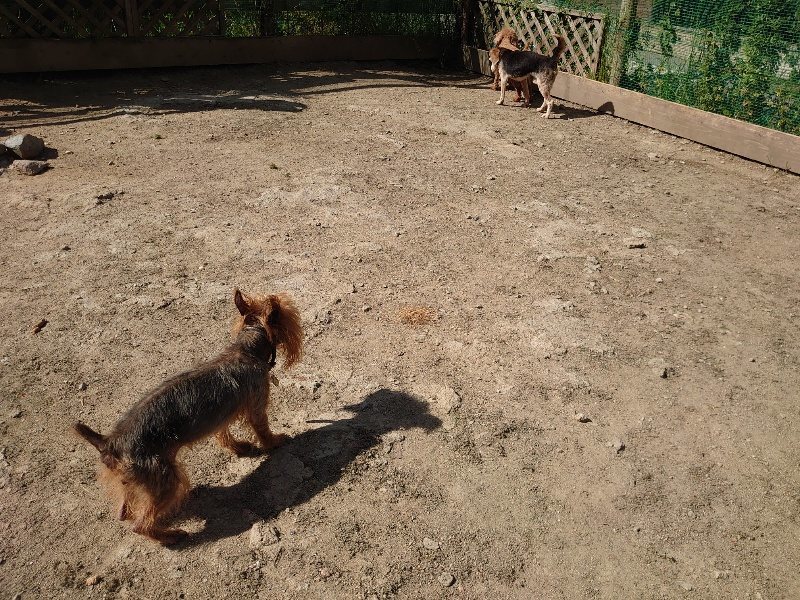 f:id:roukenhome-ann:20200508131723j:plain f:id:roukenhome-ann:20200508131723j:plain
