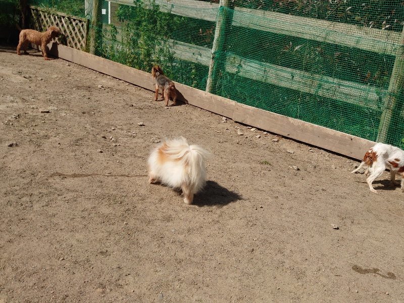 f:id:roukenhome-ann:20200508131928j:plain f:id:roukenhome-ann:20200508131928j:plain