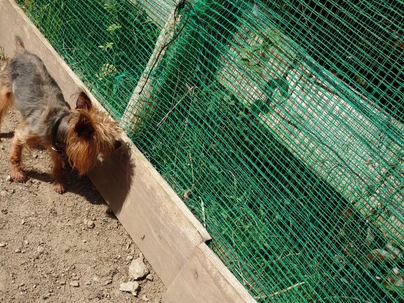 f:id:roukenhome-ann:20200508132117j:plain f:id:roukenhome-ann:20200508132117j:plain