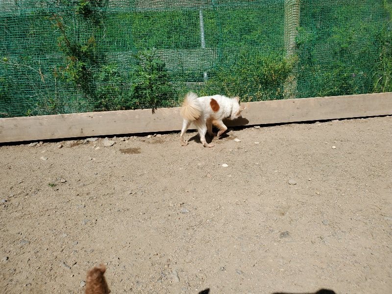 f：id：roukenhome-ann：20200509194510j：plain