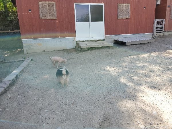 f：id：roukenhome-ann：20200509194552j：plain