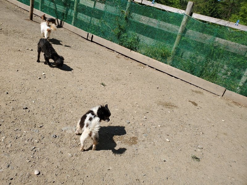 f：id：roukenhome-ann：20200509194611j：plain