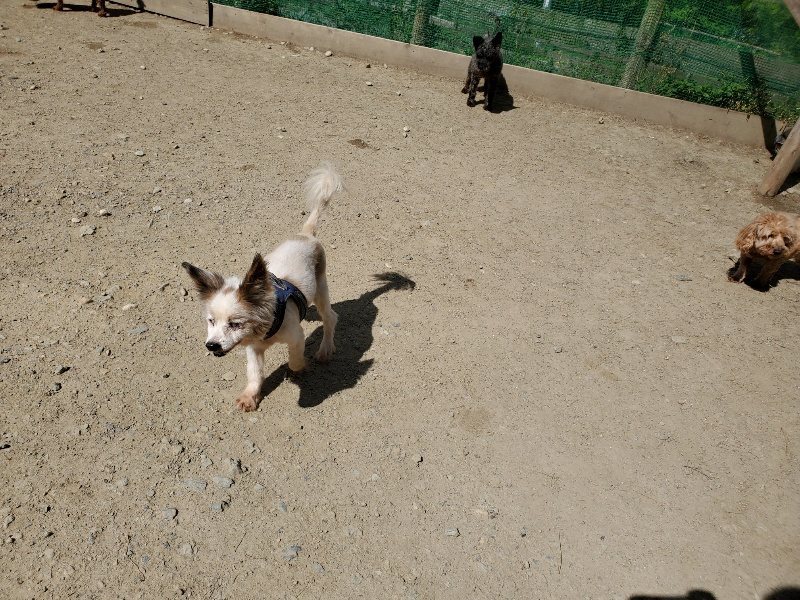 f：id：roukenhome-ann：20200509194725j：plain