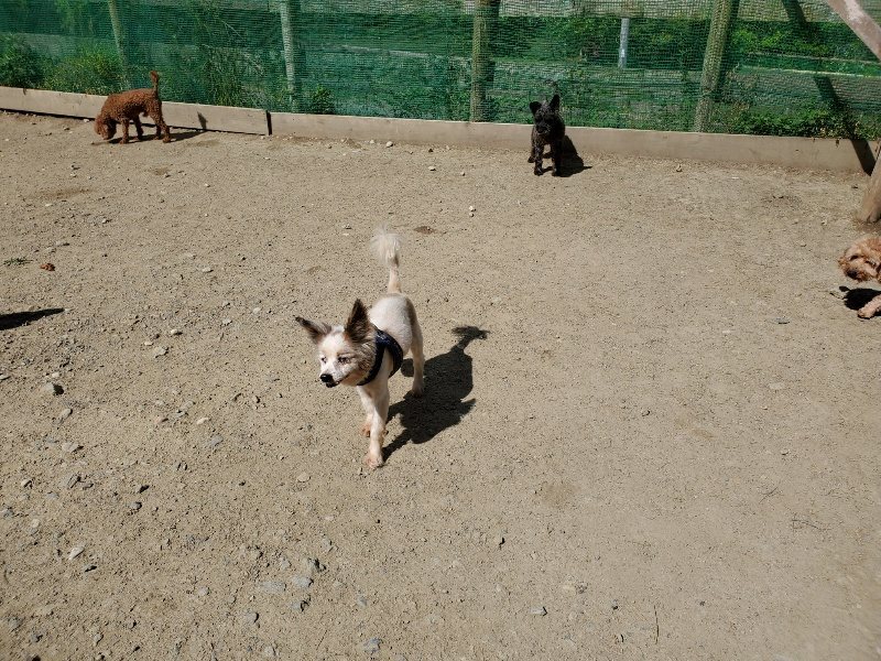 f：id：roukenhome-ann：20200509194730j：plain