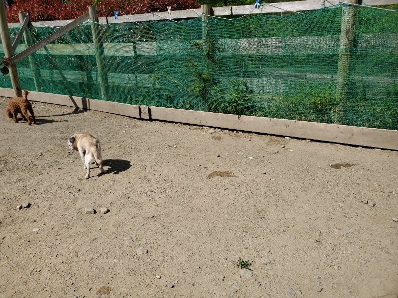 f：id：roukenhome-ann：20200509194830j：plain