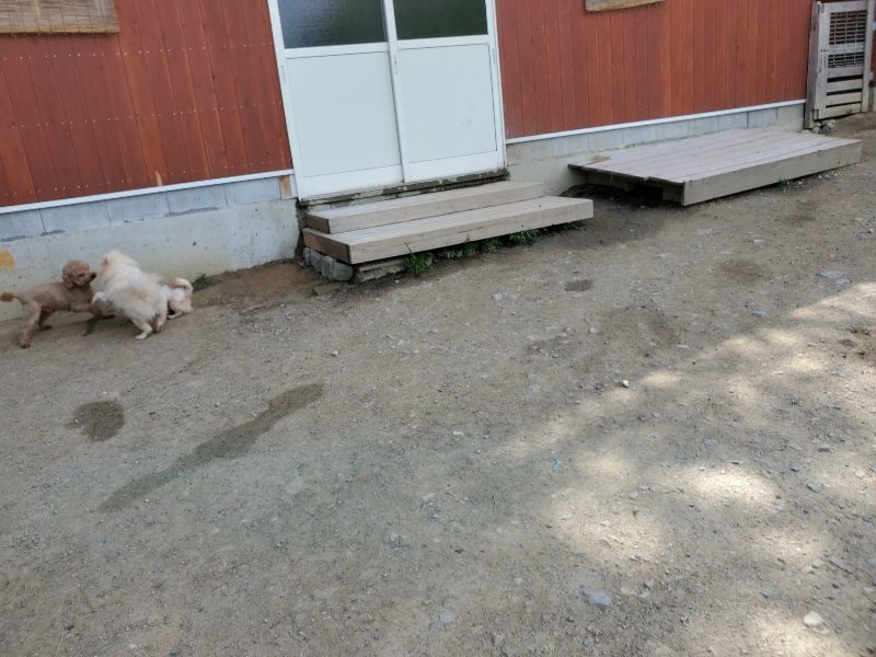 f：id：roukenhome-ann：20200509194945j：plain