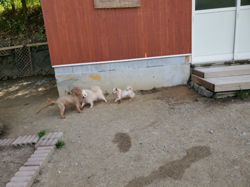 f：id：roukenhome-ann：20200509194957j：plain
