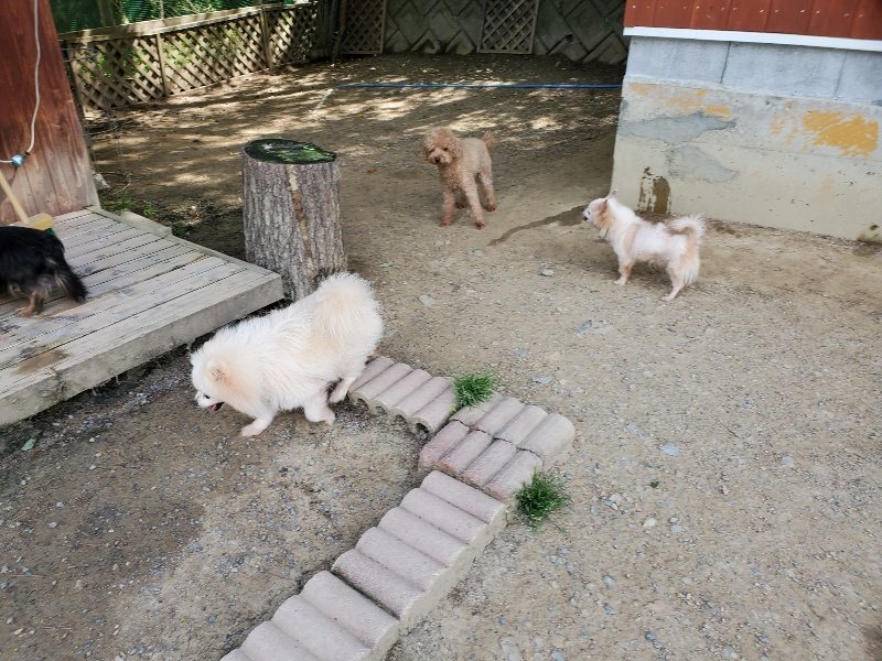 f：id：roukenhome-ann：20200509195007j：plain
