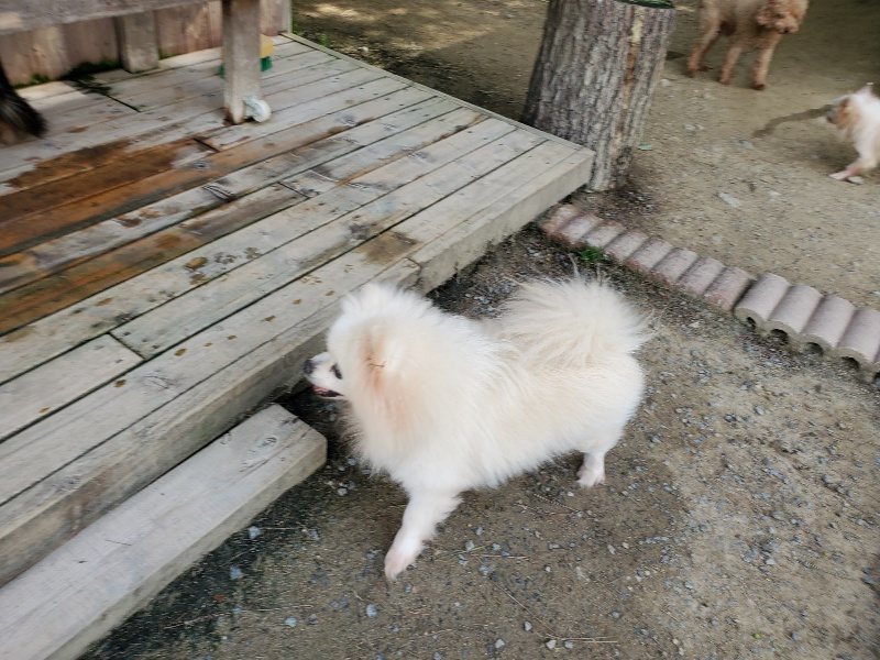 f：id：roukenhome-ann：20200509195017j：plain