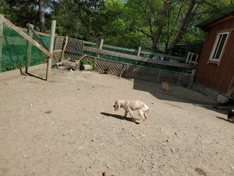 f：id：roukenhome-ann：20200509195508j：plain