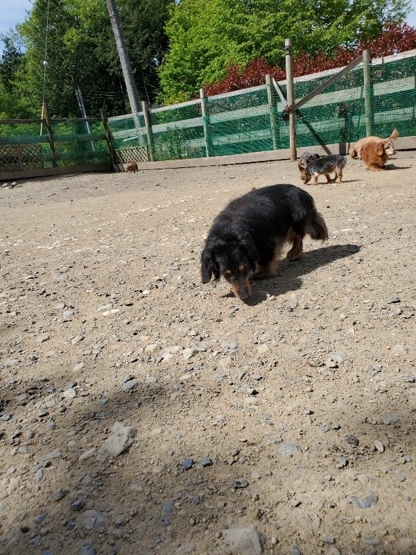 f：id：roukenhome-ann：20200509195839j：plain