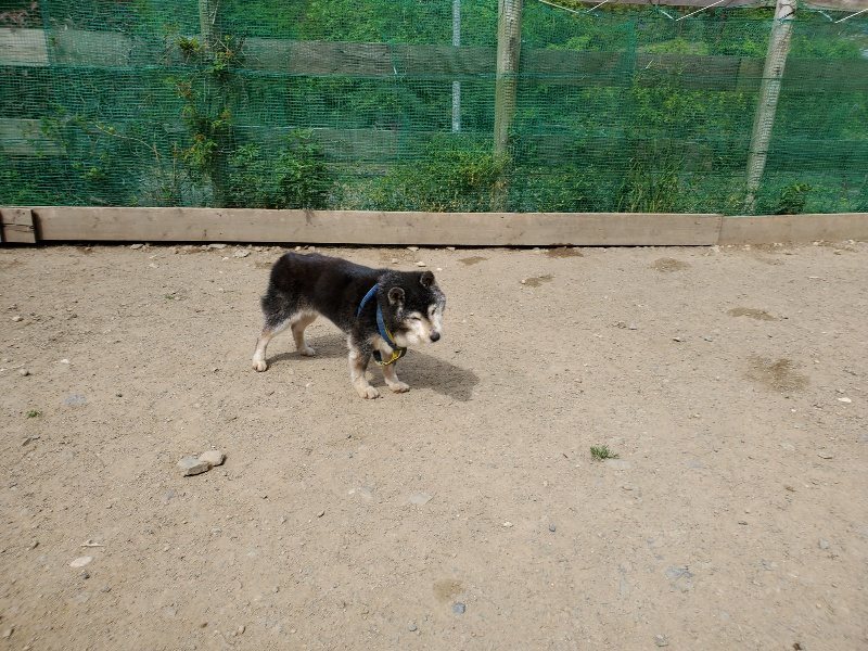 f：id：roukenhome-ann：20200509200851j：plain