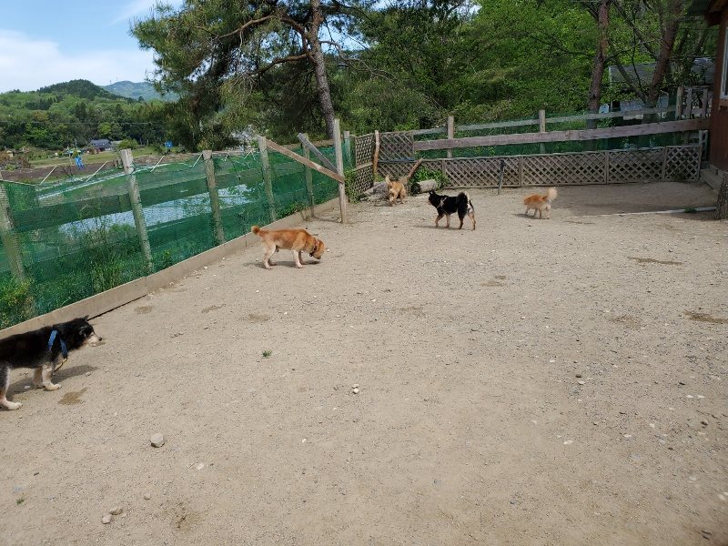 f：id：roukenhome-ann：20200509201324j：plain