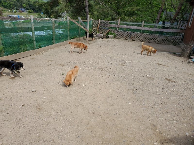 f：id：roukenhome-ann：20200509201453j：plain