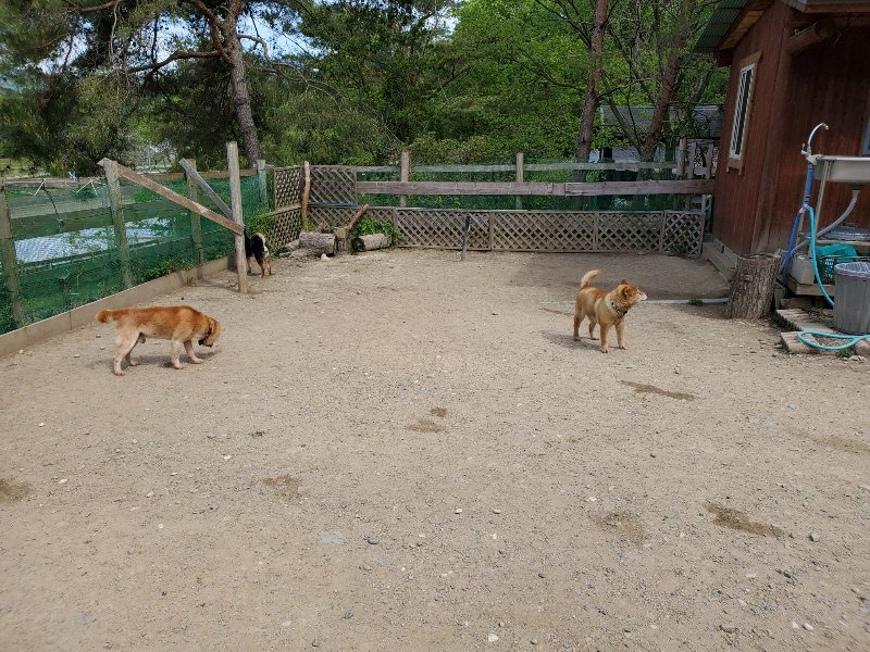 f：id：roukenhome-ann：20200509201511j：plain