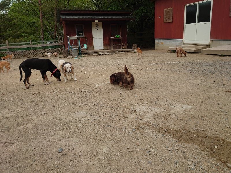 f：id：roukenhome-ann：20200509202433j：plain