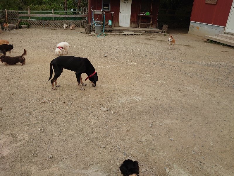 f：id：roukenhome-ann：20200509202511j：plain