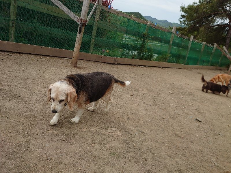 f：id：roukenhome-ann：20200509202533j：plain