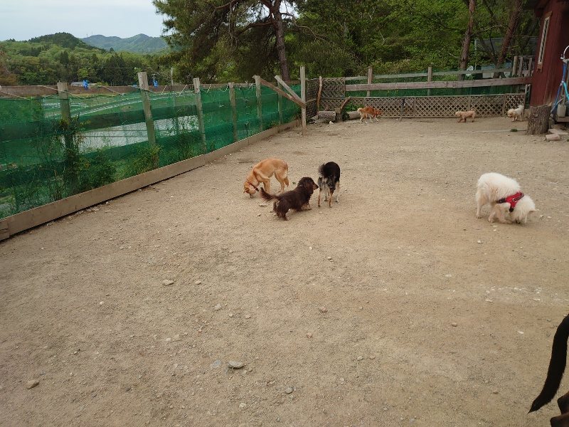 f：id：roukenhome-ann：20200509202544j：plain