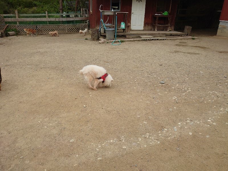 f：id：roukenhome-ann：20200509202601j：plain